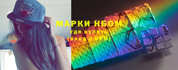 прущие грибы Алзамай