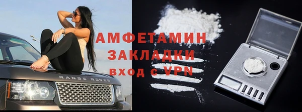 прущие грибы Алзамай
