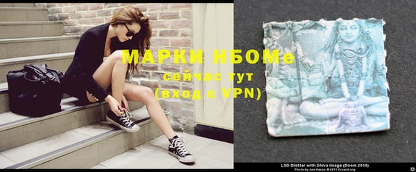 прущие грибы Алзамай