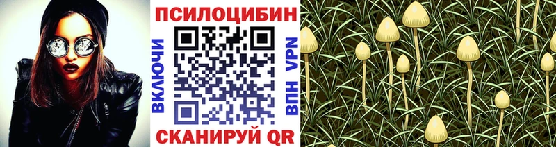 цена Кудрово MEGA как зайти Галлюциногенные грибы Cubensis